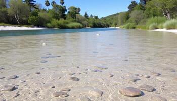 Shallow Clear River with Sandy Bottom and Lush Green Banks photo