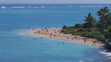 Serene aerial view of a sandy Lanikai beach on Oahu Island, Hawaii, with turquoise waters, people relaxing under umbrellas, and small waves in the distance. video