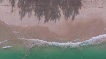 Serene aerial view of a beach on Oahu island, Hawaii, with turquoise water, sandy shore, tree shadows, and calm waves creating a rhythmic motion. video