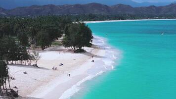 Aerial view of a beach on Oahu island, Hawaii, with turquoise waters, white sand, palm trees, mountain ranges, and kite surfers gliding over the waves. video