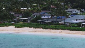 Turquoise waves roll onto a sandy beach on Oahu island, Hawaii. People swim and walk along the shore, with palm trees and houses in the backdrop. video