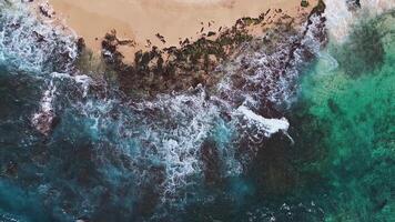 Aerial view of waves crashing on a sandy shoreline with visible coral reefs beneath clear turquoise water on Oahu island in Hawaii. video