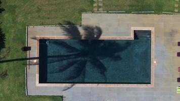 Aerial view of a luxury pool surrounded by grass and palm trees on Kauai Island. Lounge chairs line the deck, creating a serene atmosphere. video