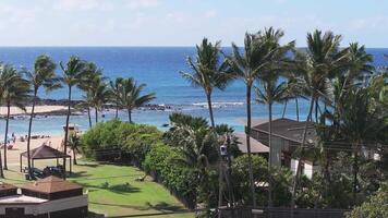 A serene beach on Kauai island, Hawaii, with swaying palm trees, a vibrant coastline, and people relaxing or enjoying water activities by the shore. video