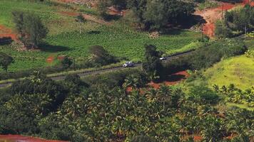 Aerial view of a winding road on Kauai Island, Hawaii, surrounded by dense palm trees, grassy fields, and red soil with vehicles in motion. video