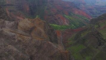 Smooth aerial motion over Waimea Canyon, showcasing red and green cliffs, steep ridges, and lush vegetation on Kauai Island, Hawaii. video