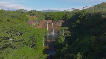 Twin waterfalls cascade down a rugged cliff into a pool below, surrounded by lush green vegetation on Kauai Island, Hawaii. Water flows continuously. video