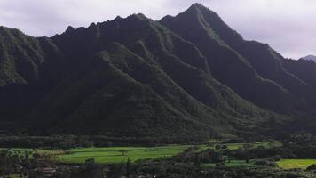 Sweeping aerial pan of Oahu, Hawaii, showcasing green mountains, a sandy beach with palm trees, coastal areas, and scattered structures. video