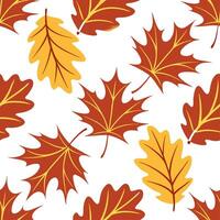 Thanksgiving leaves seamless pattern with rich autumn colors of red orange and yellow for a warm harvest inspired look concept as Warm Thanksgiving pattern with red orange and yell Clear Set 10 vector
