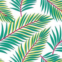 Retro tropical seamless pattern with palm leaves and vibrant colors for summer designs concept as Vibrant retro tropical pattern featuring palm leaves and bright colors perfect for Clear vector