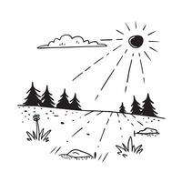 Forest Edge Sunset concept as The sun sets at the edge of a vast forest lighting up the treetops and casting long shadows across the clearing in Photo Stock Concept Clear vector