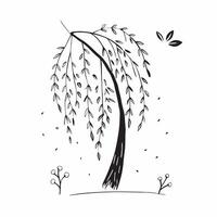 Willow tree isolated on white background concept as A graceful willow tree isolated on a white background highlighting its drooping branches and long narrow leaves ideal for serene Clean Version 2 vector