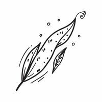 Willow leaf isolated on white background concept as A delicate willow leaf isolated on a white background highlighting its long narrow structure and vibrant green color perfect for Clean Version 2 vector