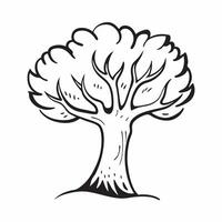Walnut tree isolated on white background concept as A robust walnut tree isolated on a white background highlighting its compound leaves and green walnut fruits ideal for culinary v1 vector