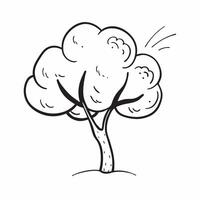 Teak tree isolated on white background concept as A valuable teak tree isolated on a white background featuring its large leaves and straight trunk suitable for forestry garden or Clean Version 2 vector