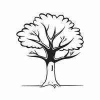 Teak tree isolated on white background concept as A valuable teak tree isolated on a white background featuring its large leaves and straight trunk suitable for forestry garden or v1 vector