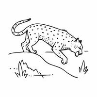 Snow leopard hunting in mountains concept as A snow leopard hunting in the mountains showcasing its agility and stealth in a rugged landscape in Photo Stock Concept v1 vector