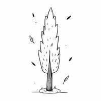Poplar tree isolated on white background concept as A tall poplar tree isolated on a white background highlighting its slender trunk and triangular leaves ideal for urban park or l Clean Version 2 vector