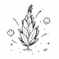 Pine needle cluster isolated on white background concept as A cluster of pine needles isolated on a white background highlighting their slender needle like structure and vibrant gr Clean Version 2 vector