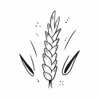 Pine needle cluster isolated on white background concept as A cluster of pine needles isolated on a white background highlighting their slender needle like structure and vibrant gr v1 vector