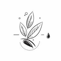 Olive leaf with morning dew isolated on white background concept as A sleek olive leaf with morning dew isolated on a white background highlighting its narrow lance shaped structur v1 vector