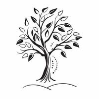 Olive tree isolated on white background concept as A picturesque olive tree isolated on a white background featuring its gnarled trunk and silvery green leaves ideal for Mediterran v1 vector