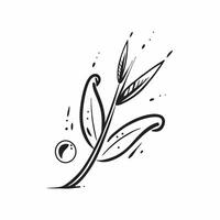 Olive leaf with morning dew isolated on white background concept as A sleek olive leaf with morning dew isolated on a white background highlighting its narrow lance shaped structur Clean Version 2 vector