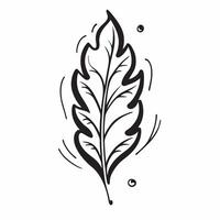 Oak leaf isolated on white background concept as A detailed oak leaf isolated on a white background featuring its lobed edges and deep green color ideal for educational environment Clean Version 2 vector