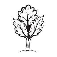 Oak tree isolated on white background concept as A detailed image of an oak tree isolated on a white background showcasing its robust trunk spreading branches and lush green leaves Clean Version 2 vector