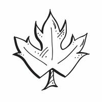 Maple leaf isolated on white background concept as A vibrant maple leaf isolated on a white background showcasing its characteristic lobed shape and bright autumn colors perfect fo v1 vector