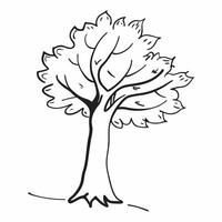 Maple tree isolated on white background concept as A beautiful maple tree isolated on a white background highlighting its distinctive palmate leaves and sturdy trunk perfect for se v1 vector