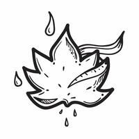 Maple leaf with dew drops isolated on white background concept as A vibrant maple leaf with dew drops isolated on a white background showcasing its characteristic lobed shape and f v1 vector