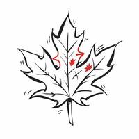 Maple leaf with autumn colors isolated on white background concept as A vibrant maple leaf with autumn colors isolated on a white background showcasing its characteristic lobed sha Clean Version 2 vector