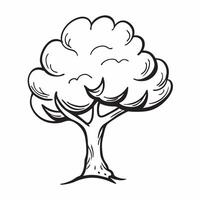 Magnolia tree isolated on white background concept as A stunning magnolia tree isolated on a white background featuring its large fragrant flowers and broad leaves perfect for spri v1 vector