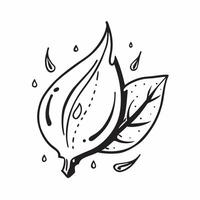 Magnolia leaf with dew drops isolated on white background concept as A glossy magnolia leaf with dew drops isolated on a white background showcasing its broad oval shape and deep g v1 vector