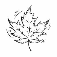 Magnolia leaf isolated on white background concept as A glossy magnolia leaf isolated on a white background featuring its broad oval shape and deep green color perfect for garden d Clean Version 2 vector