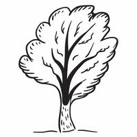 Jacaranda tree isolated on white background concept as A stunning jacaranda tree isolated on a white background featuring its vibrant purple flowers and delicate leaves ideal for s v1 vector