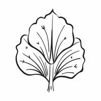 Ginkgo tree isolated on white background concept as A unique ginkgo tree isolated on a white background showcasing its fan shaped leaves and ancient lineage suitable for educationa Clean Version 2 vector