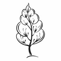 Ginkgo tree isolated on white background concept as A unique ginkgo tree isolated on a white background showcasing its fan shaped leaves and ancient lineage suitable for educationa v1 vector