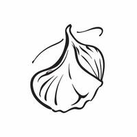 Ginkgo leaf isolated on white background concept as A unique ginkgo leaf isolated on a white background featuring its fan shaped structure and bright yellow color perfect for autum v1 vector