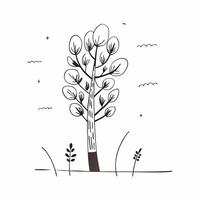 Eucalyptus tree isolated on white background concept as A refreshing eucalyptus tree isolated on a white background highlighting its tall trunk and aromatic lance shaped leaves ide Clean Version 2 vector