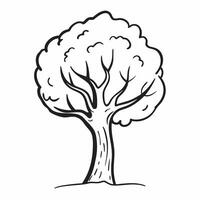 Elm tree isolated on white background concept as A stately elm tree isolated on a white background featuring its broad canopy and serrated leaves perfect for urban park or educatio v1 vector