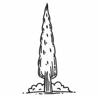 Cypress tree isolated on white background concept as A stately cypress tree isolated on a white background featuring its tall slender form and dense green foliage perfect for archi Clean Version 2 vector