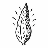 Cypress leaf with morning dew isolated on white background concept as A detailed cypress leaf with morning dew isolated on a white background featuring its scale like structure and v1 vector