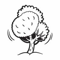 Chestnut tree isolated on white background concept as A magnificent chestnut tree isolated on a white background highlighting its broad canopy and spiky chestnut fruits ideal for c v1 vector