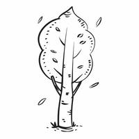 Birch tree isolated on white background concept as A striking birch tree isolated on a white background featuring its white bark and delicate oval leaves suitable for educational d Clean Version 2 vector