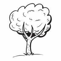 Aspen tree isolated on white background concept as A striking aspen tree isolated on a white background showcasing its white bark and trembling leaves suitable for autumn landscape v1 vector