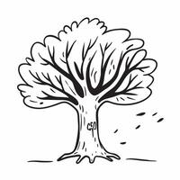 Ash tree isolated on white background concept as A majestic ash tree isolated on a white background featuring its compound leaves and sturdy trunk perfect for urban park or educati Clean Version 2 vector