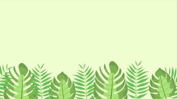 Animation of monstera background and palm leaves on bottom side, tropical jungle plants. Place for text. Loop animation in flat design style video