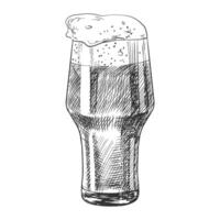 Glass of beer isolated on white background. Pint glassware. Oktoberfest. Sketch style glass of foaming beer. Engraved illustrations for pub menu. vector